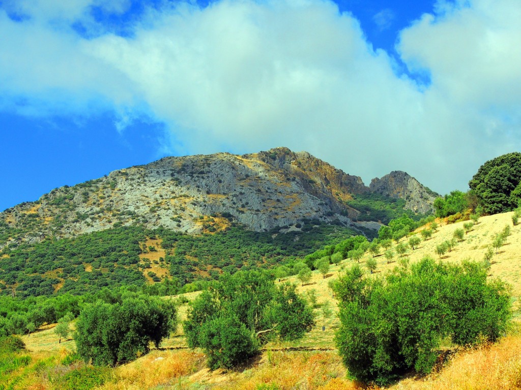 Foto de Algámitas (Sevilla), España