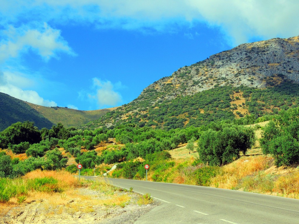 Foto de Algámitas (Sevilla), España