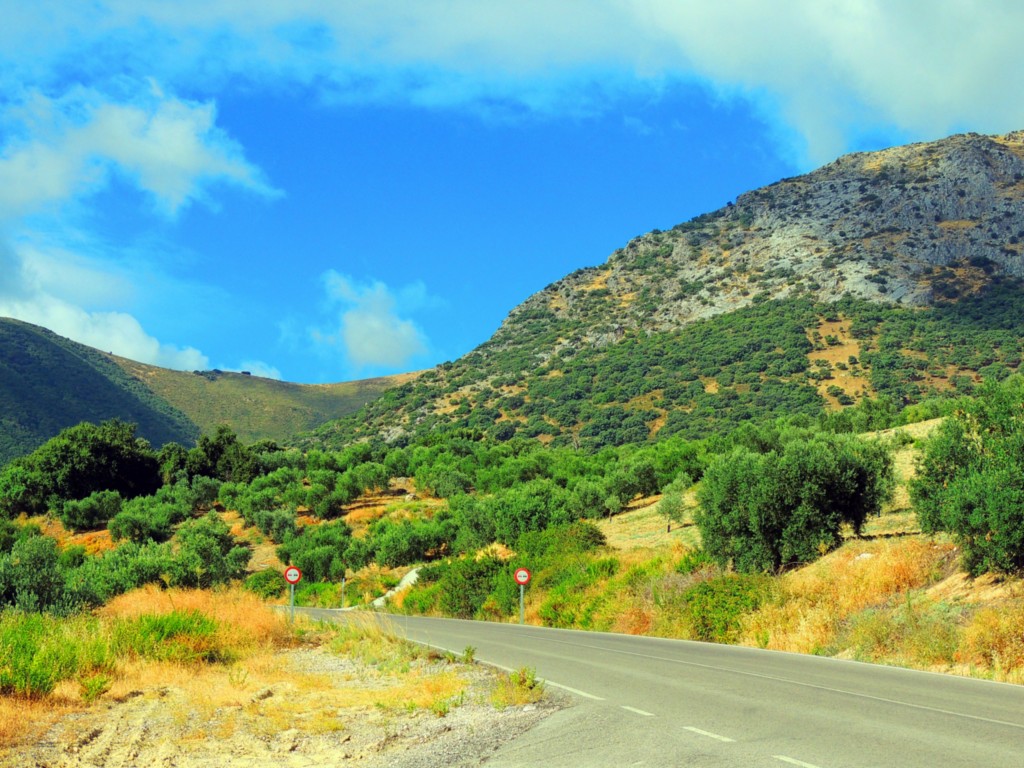 Foto de Algámitas (Sevilla), España