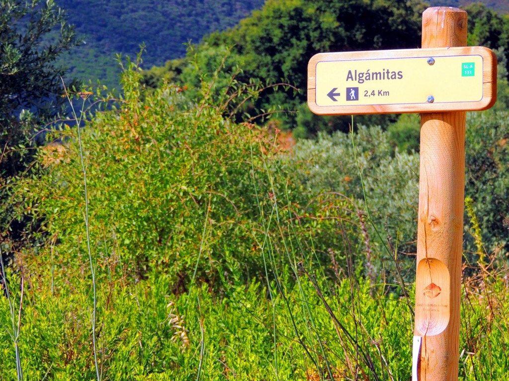 Foto de Algámitas (Sevilla), España