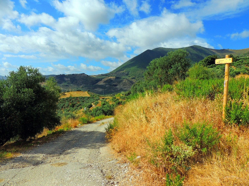 Foto de Algámitas (Sevilla), España