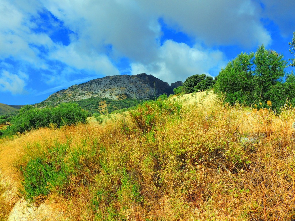 Foto de Algámitas (Sevilla), España