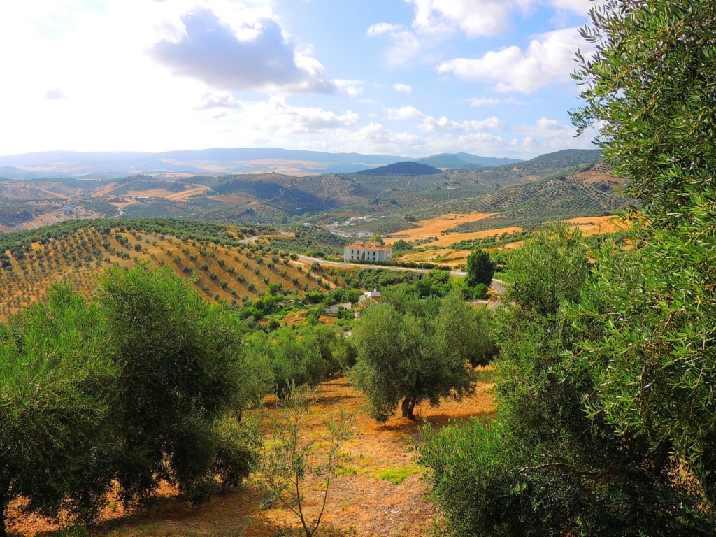 Foto de Algámitas (Sevilla), España