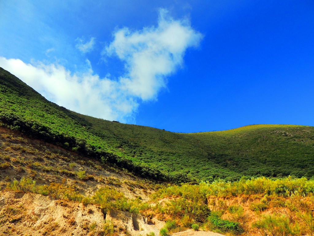 Foto de Algámitas (Sevilla), España