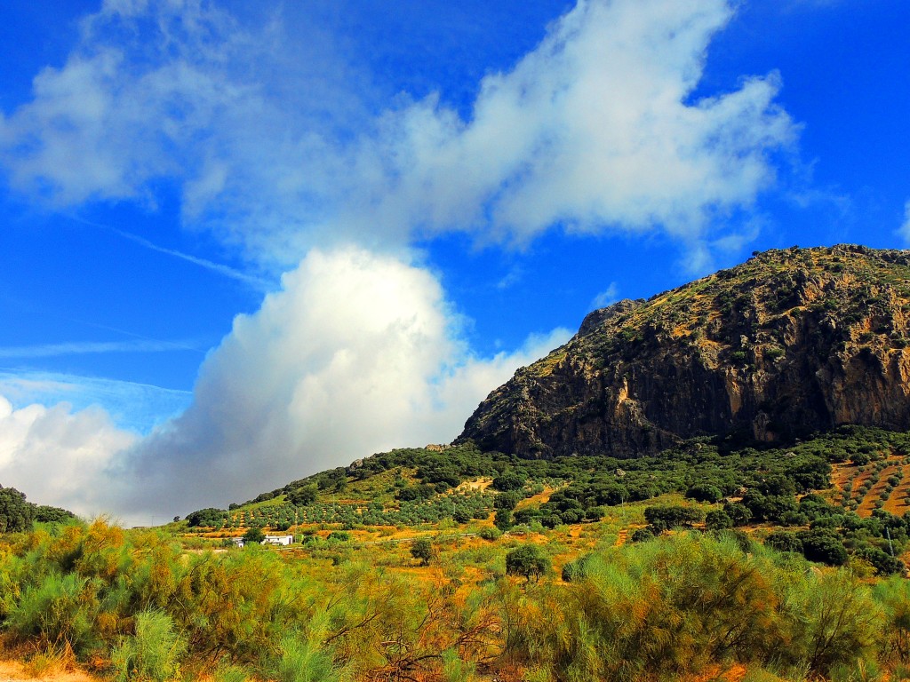 Foto de Algámitas (Sevilla), España