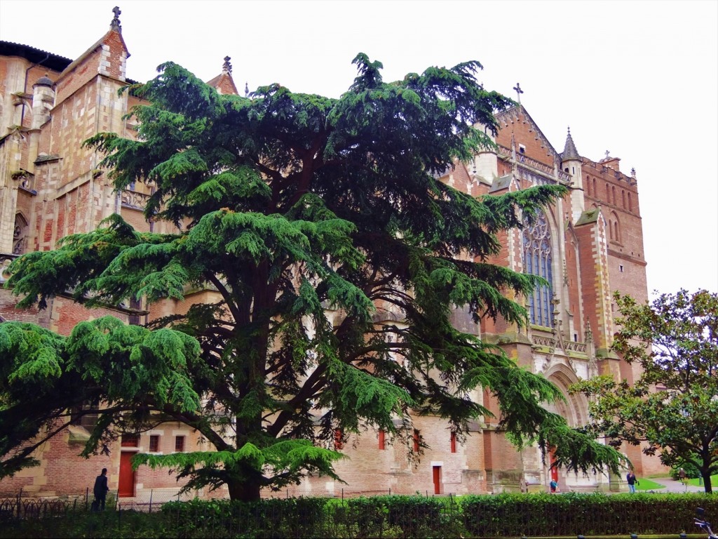 Foto: Cathédrale Saint-Étienne - Toulouse (Midi-Pyrénées), Francia