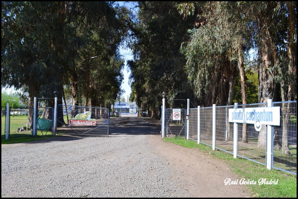 Foto de Coinco (Libertador General Bernardo OʼHiggins), Chile