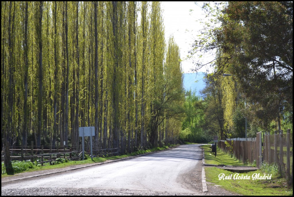 Foto de Coinco (Libertador General Bernardo OʼHiggins), Chile