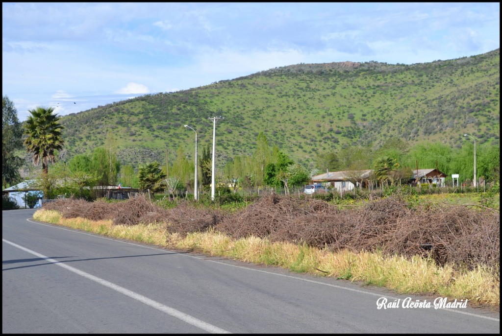 Foto de Coinco (Libertador General Bernardo OʼHiggins), Chile