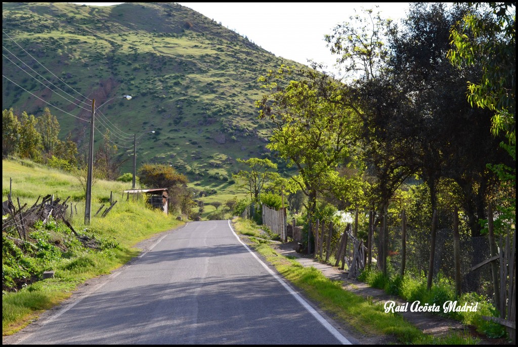 Foto de Coinco (Libertador General Bernardo OʼHiggins), Chile