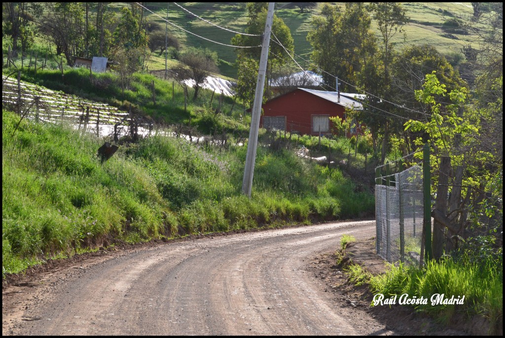 Foto de Coinco (Libertador General Bernardo OʼHiggins), Chile