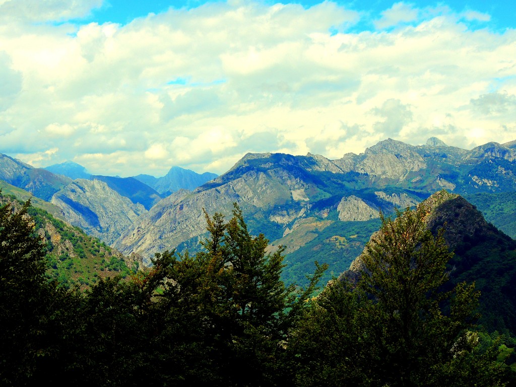 Foto de Parque del Ponga (Asturias), España