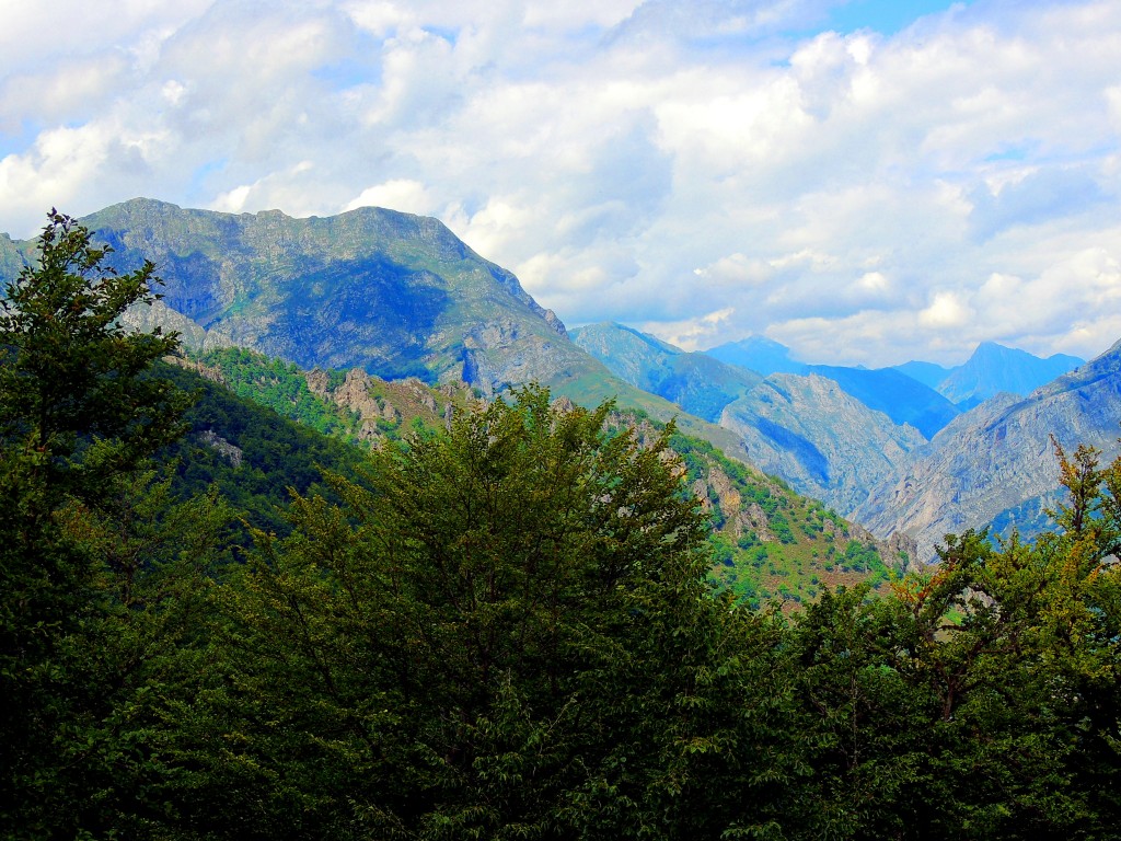 Foto de Parque del Ponga (Asturias), España