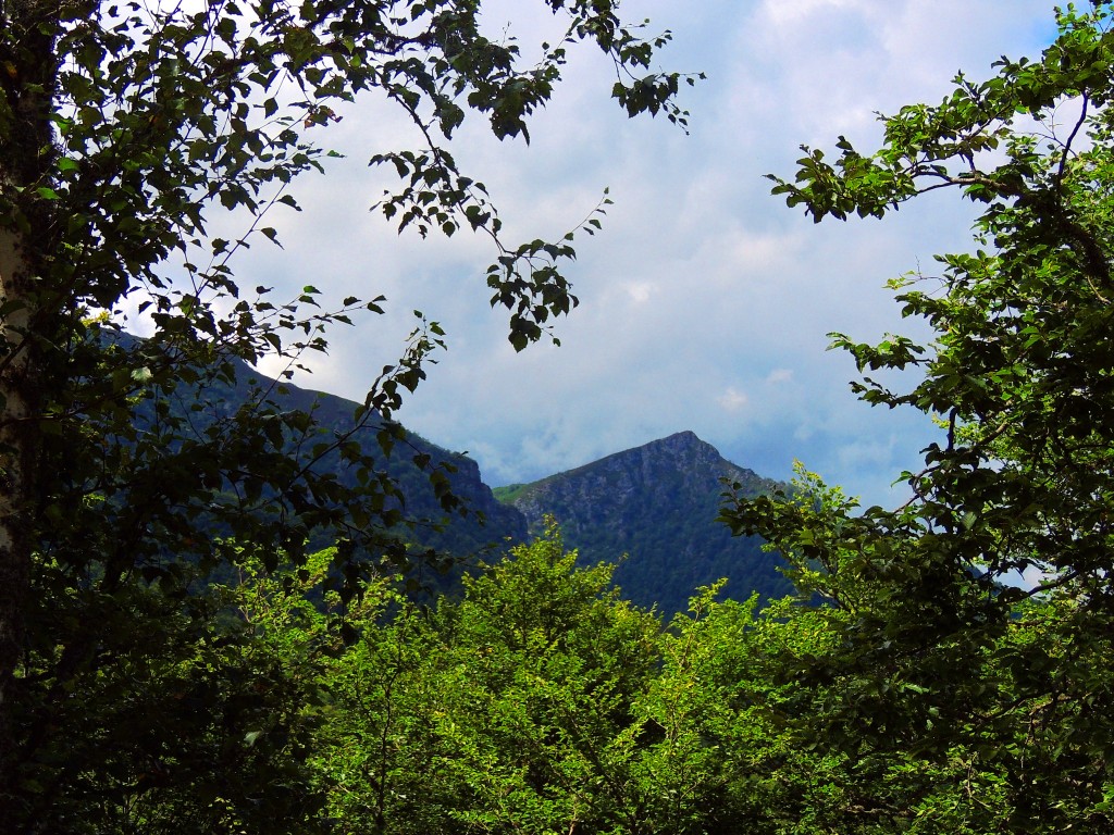 Foto de Parque del Ponga (Asturias), España