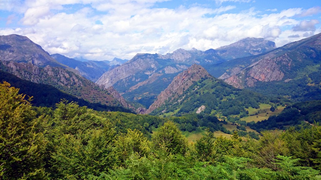 Foto de Parque del Ponga (Asturias), España