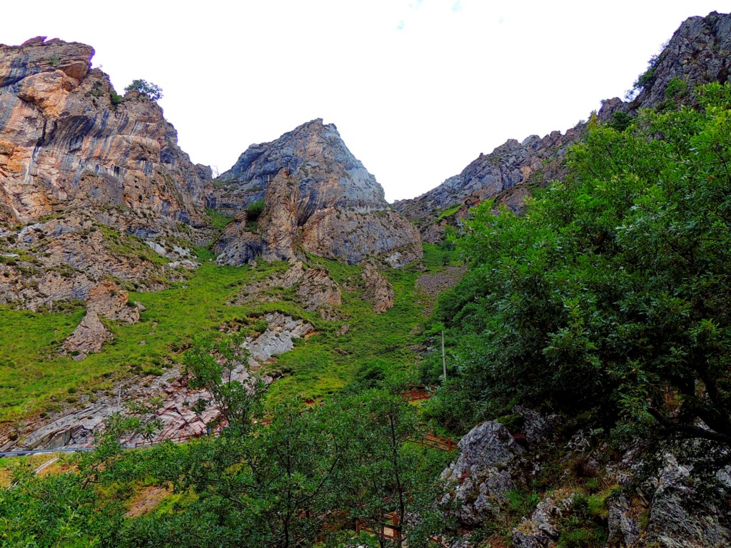Foto de Parque del Ponga (Asturias), España