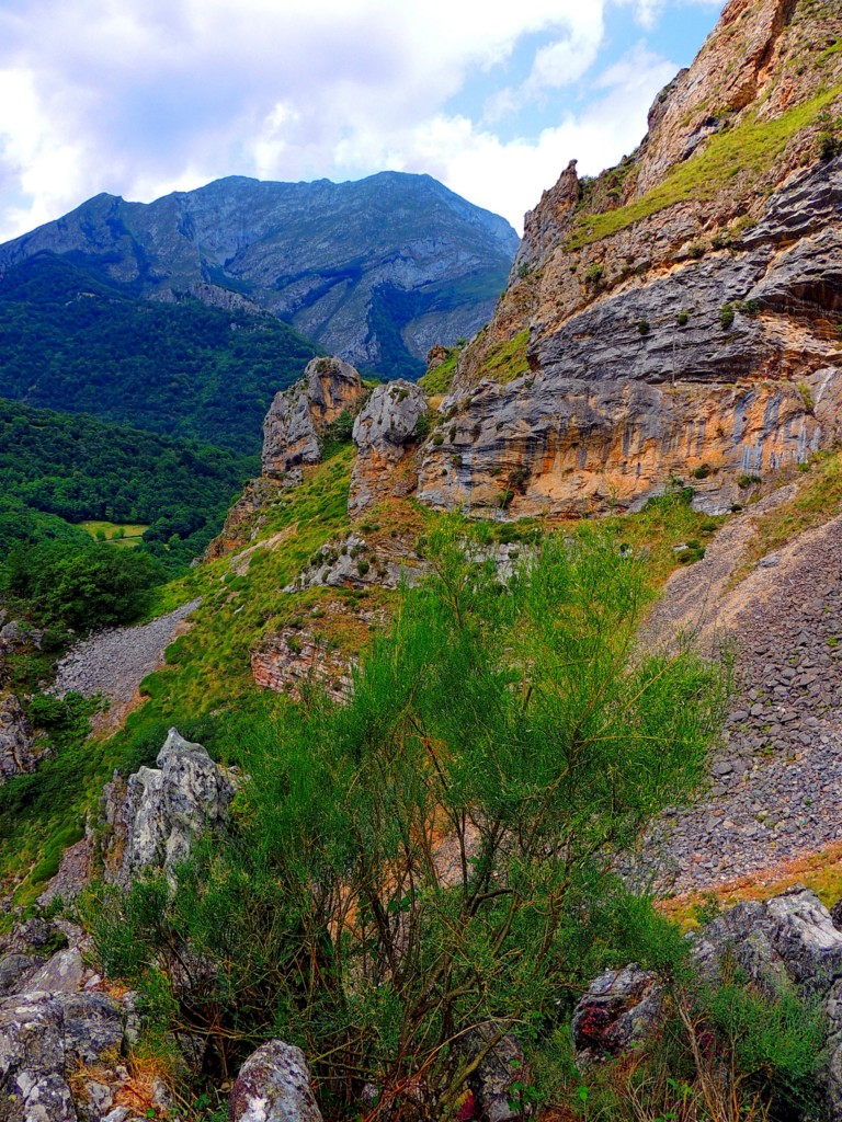 Foto de Parque del Ponga (Asturias), España