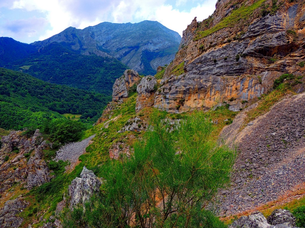 Foto de Parque del Ponga (Asturias), España
