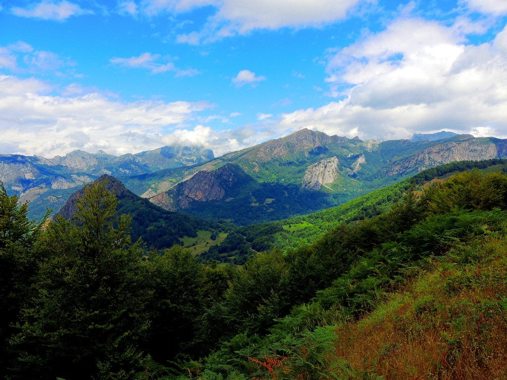 Foto de Parque del Ponga (Asturias), España