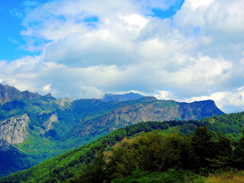 Foto de Parque del Ponga (Asturias), España