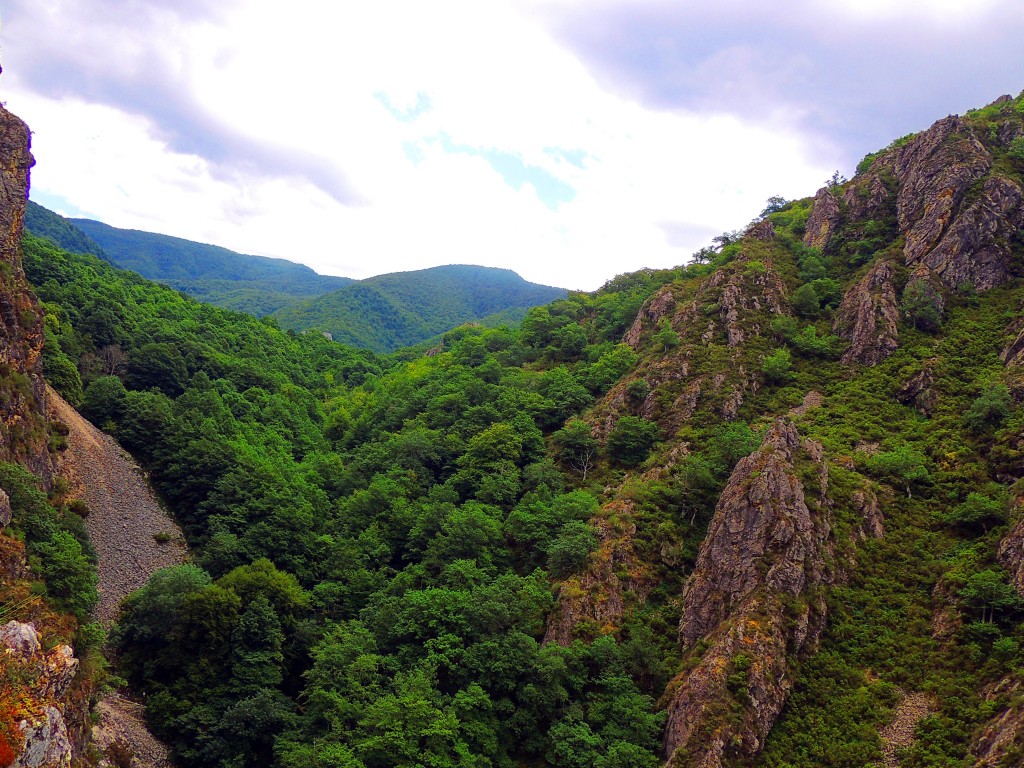 Foto de Parque del Ponga (Asturias), España