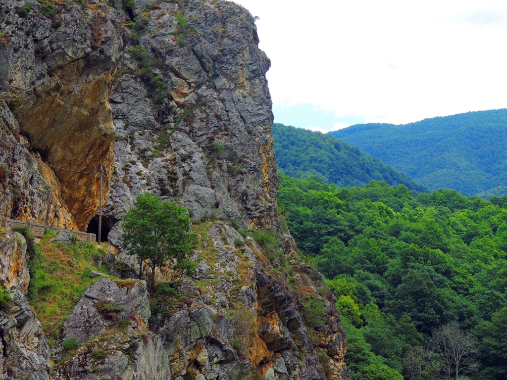 Foto de Parque del Ponga (Asturias), España