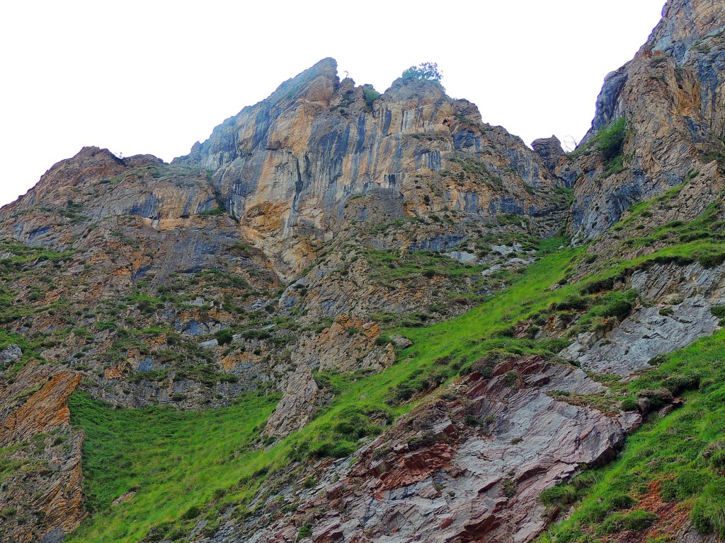 Foto de Parque del Ponga (Asturias), España