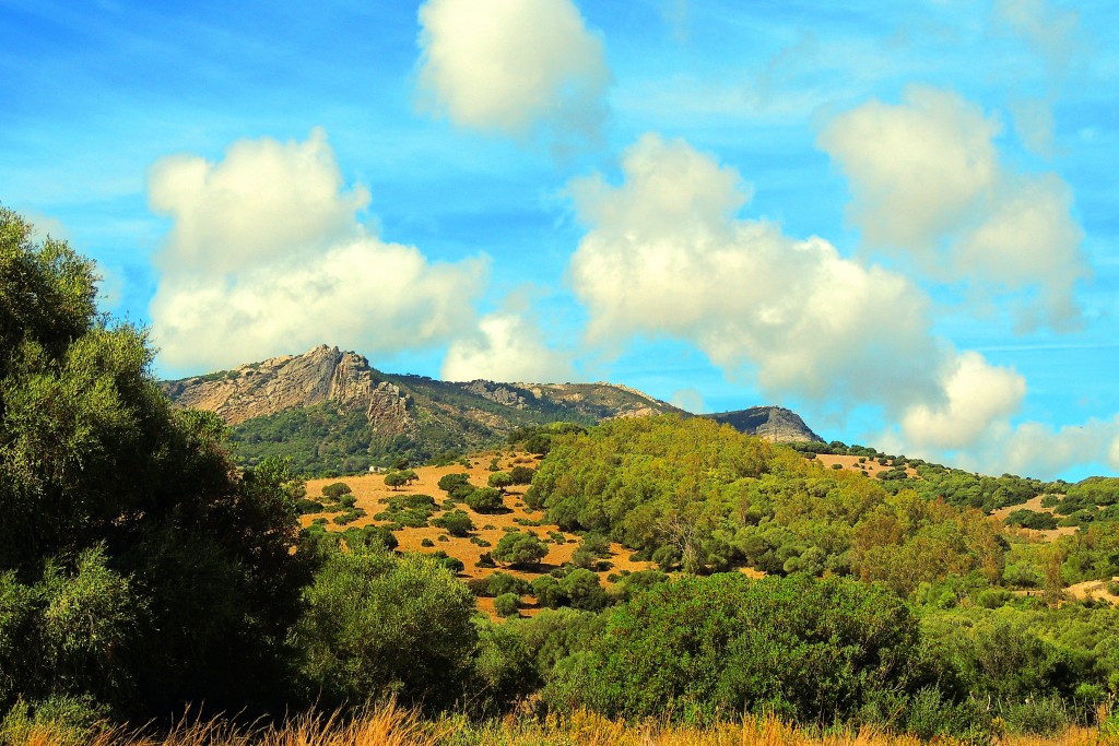 Foto de Punta Paloma (Cádiz), España