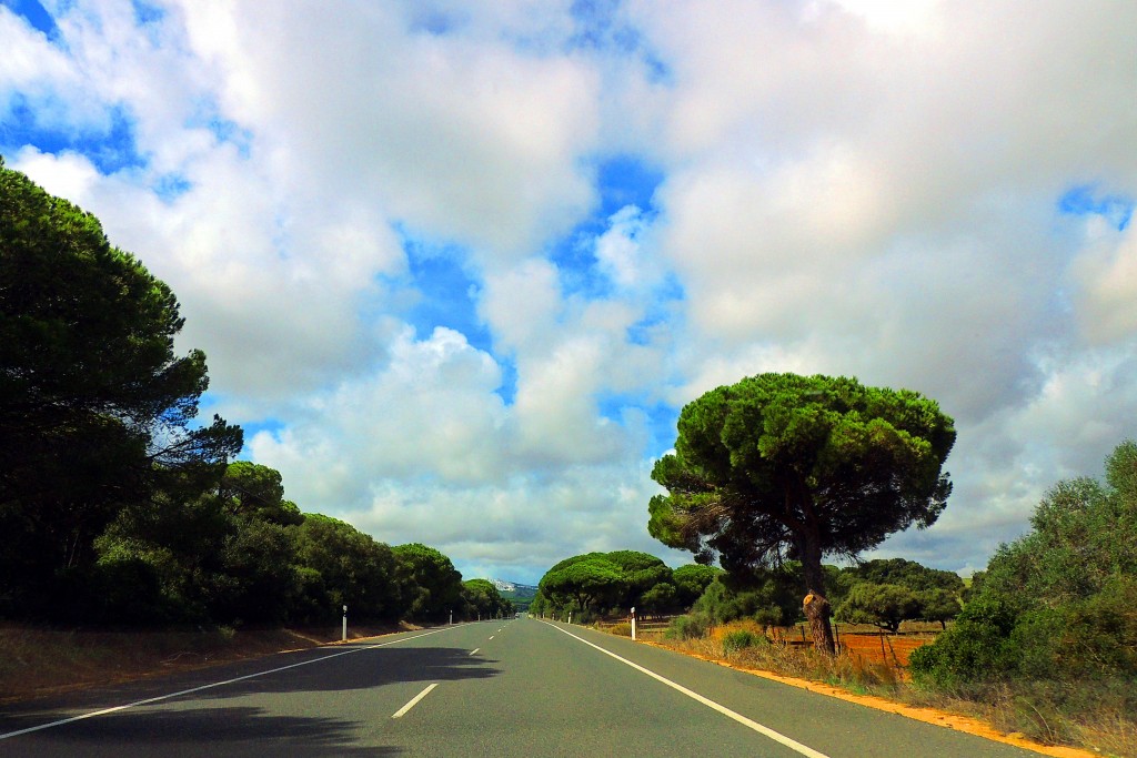 Foto de Punta Paloma (Cádiz), España