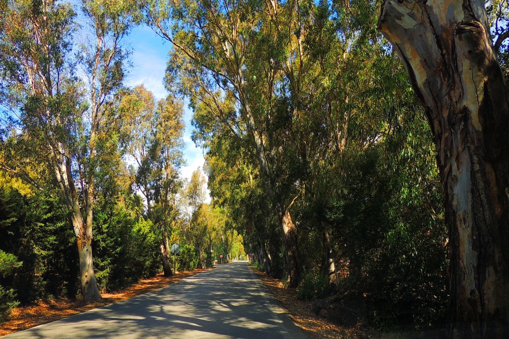 Foto de Punta Paloma (Cádiz), España