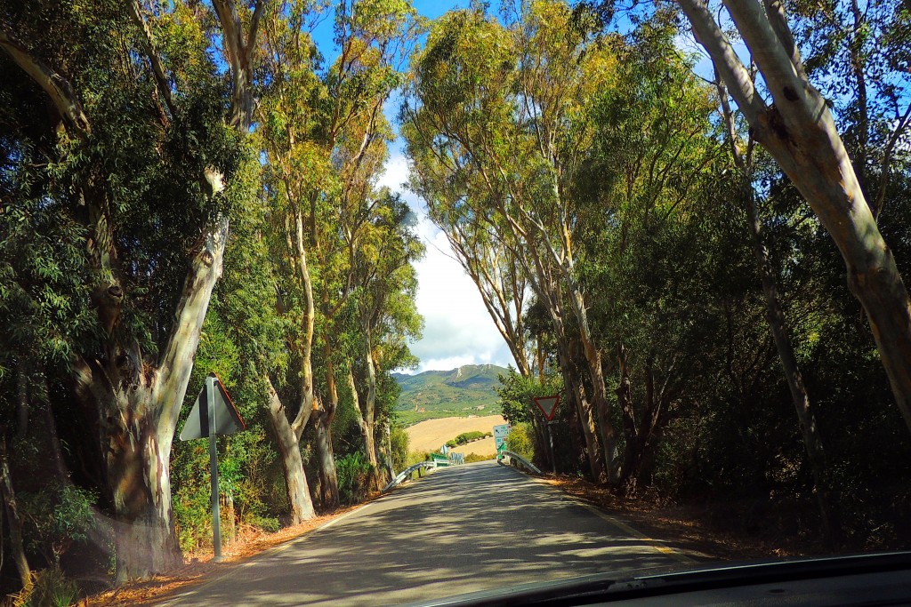 Foto de Punta Paloma (Cádiz), España