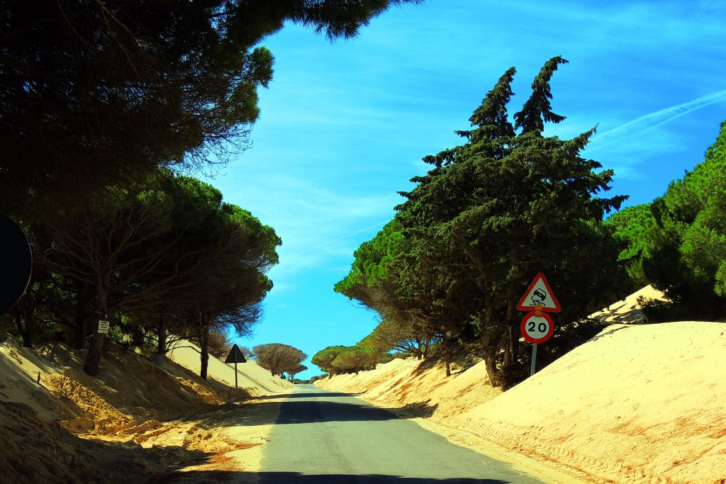 Foto de Punta Paloma (Cádiz), España