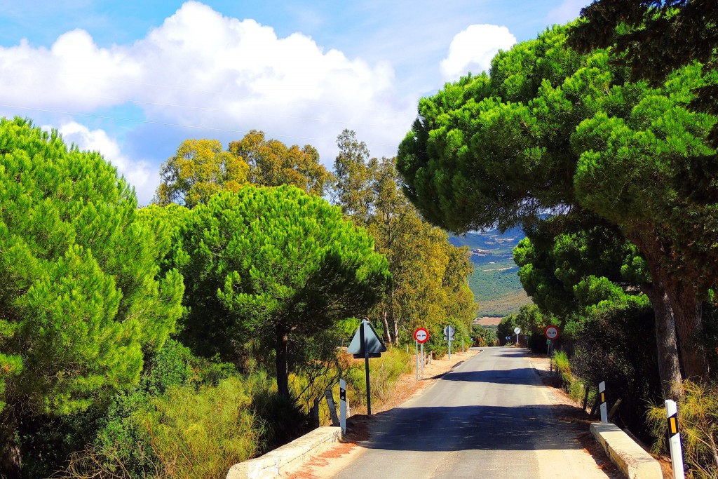 Foto de Punta Paloma (Cádiz), España