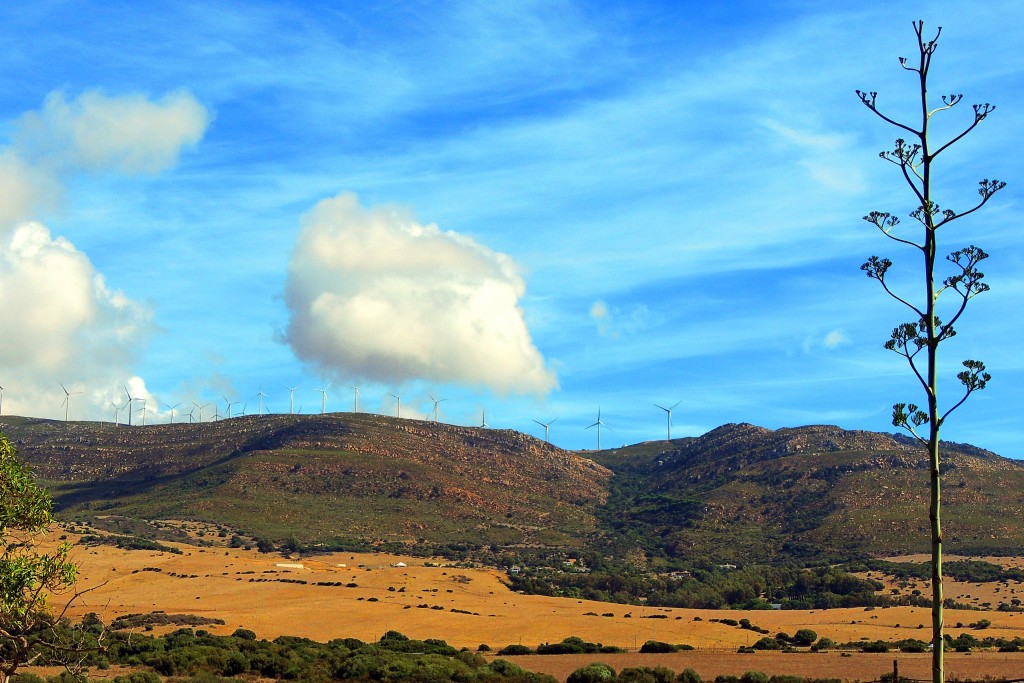 Foto de Punta Paloma (Cádiz), España