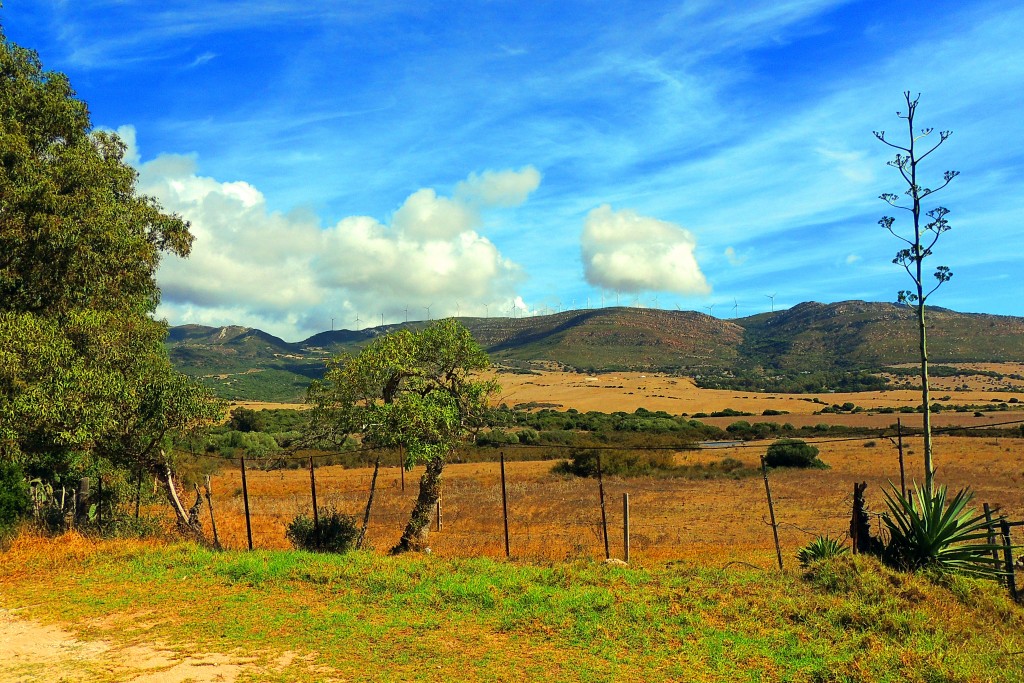 Foto de Punta Paloma (Cádiz), España