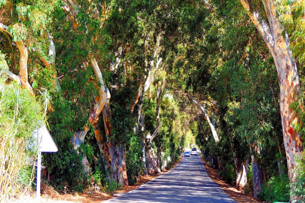 Foto de Punta Paloma (Cádiz), España