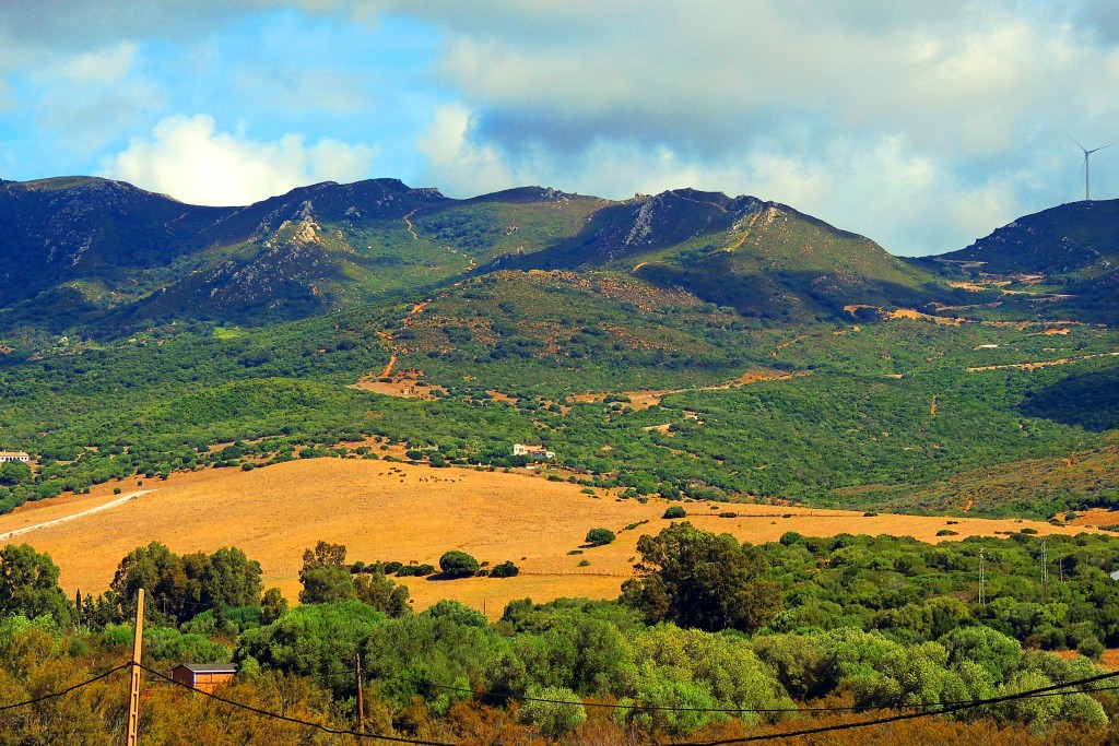 Foto de Punta Paloma (Cádiz), España