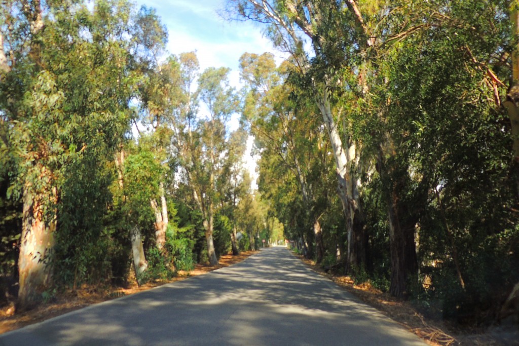 Foto de Punta Paloma (Cádiz), España