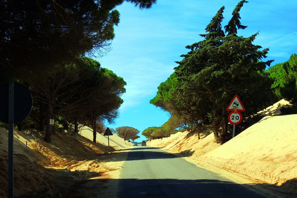 Foto de Punta Paloma (Cádiz), España