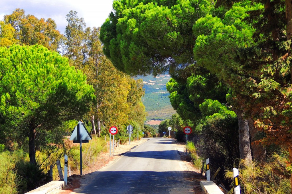 Foto de Punta Paloma (Cádiz), España