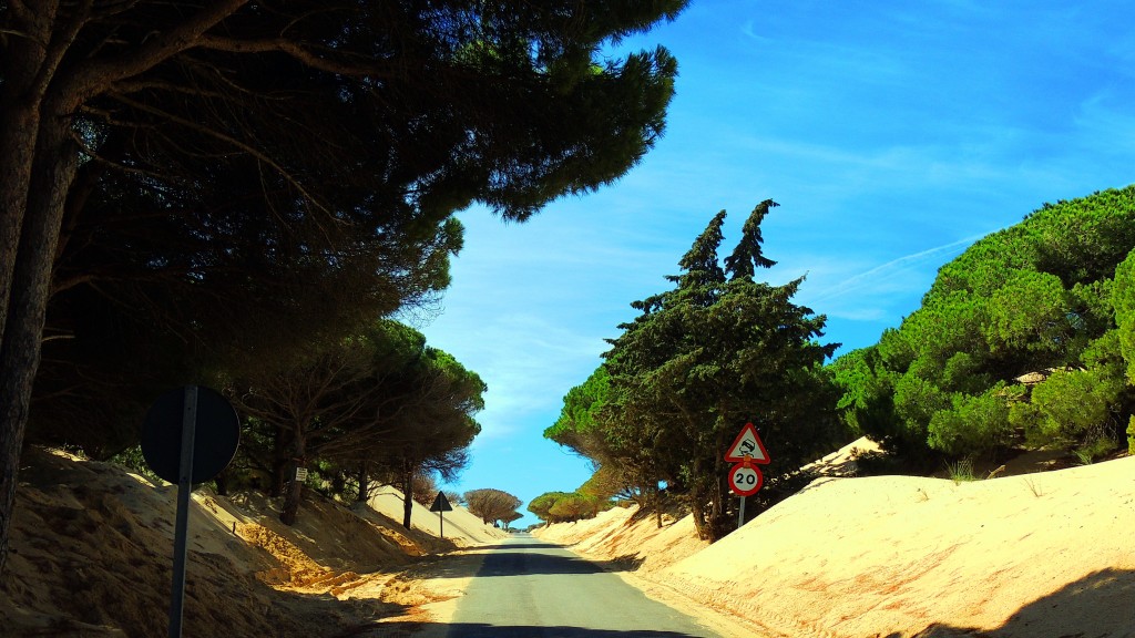 Foto de Punta Paloma (Cádiz), España