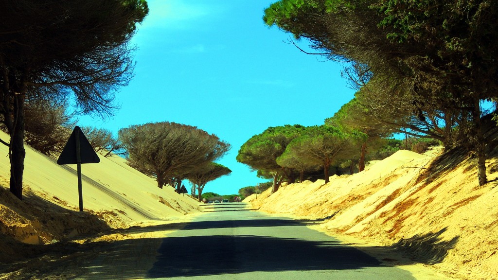 Foto de Punta Paloma (Cádiz), España