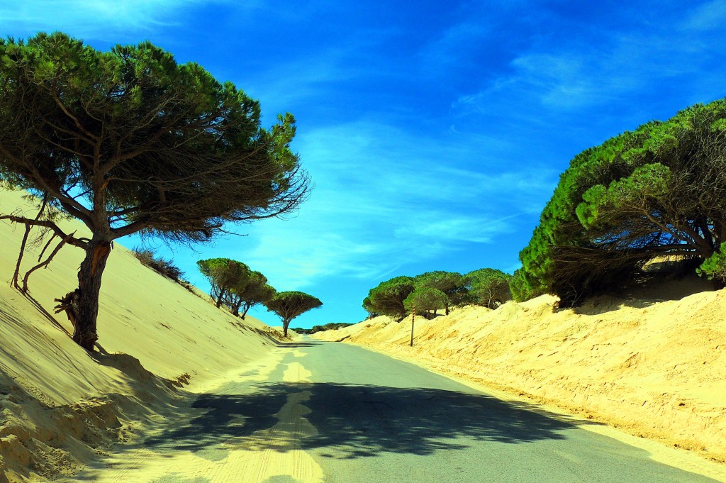 Foto de Punta Paloma (Cádiz), España