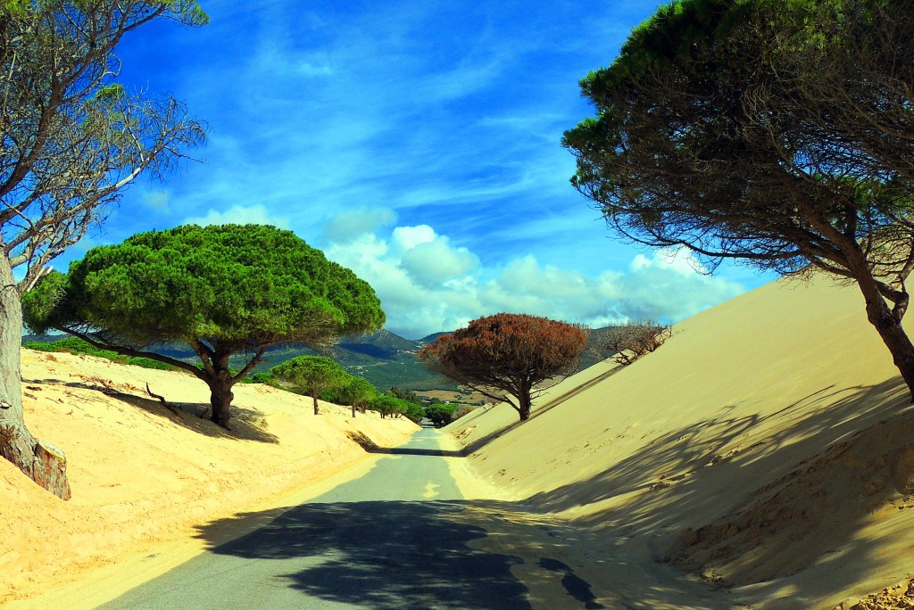 Foto de Punta Paloma (Cádiz), España