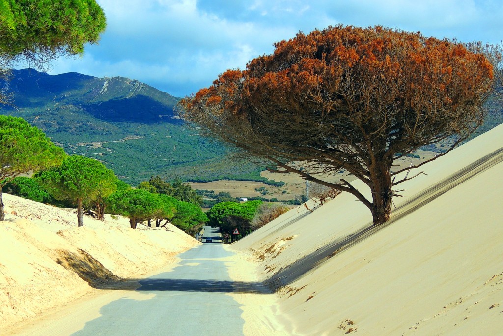 Foto de Punta Paloma (Cádiz), España
