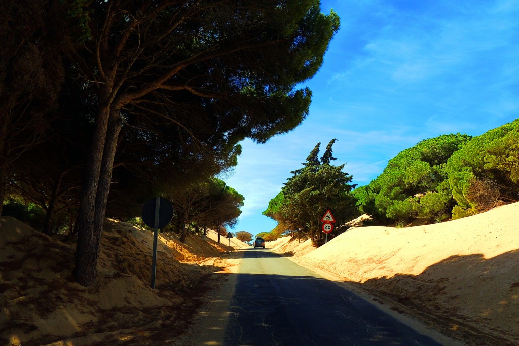 Foto de Punta Paloma (Cádiz), España