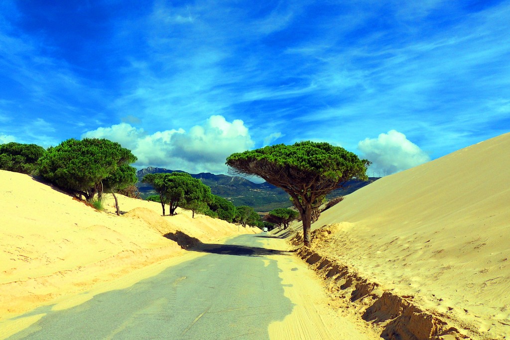 Foto de Punta Paloma (Cádiz), España