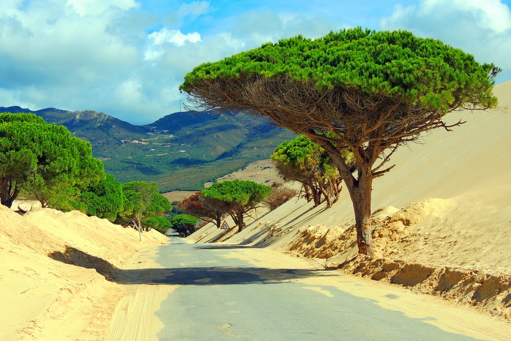 Foto de Punta Paloma (Cádiz), España