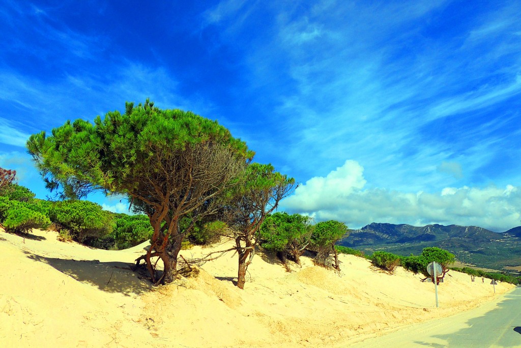 Foto de Punta Paloma (Cádiz), España
