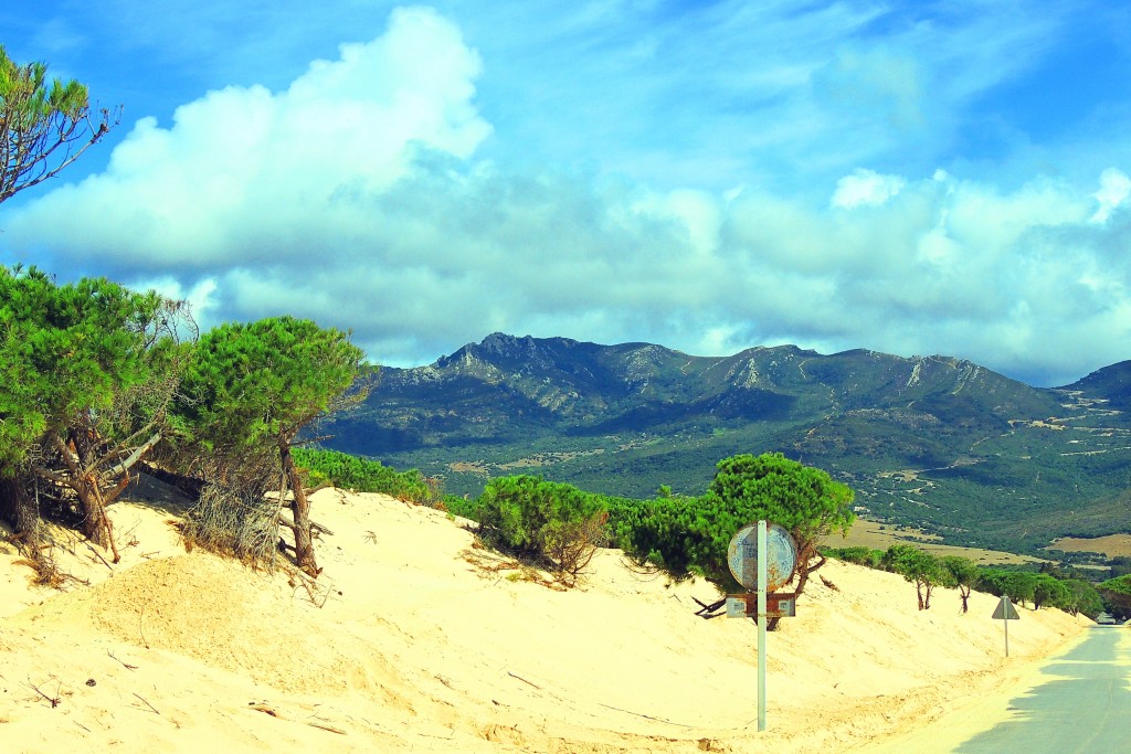 Foto de Punta Paloma (Cádiz), España